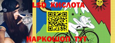 шишки Бузулук