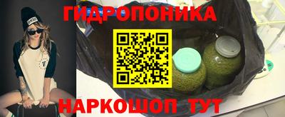 шишки Бузулук