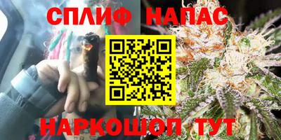 шишки Бузулук