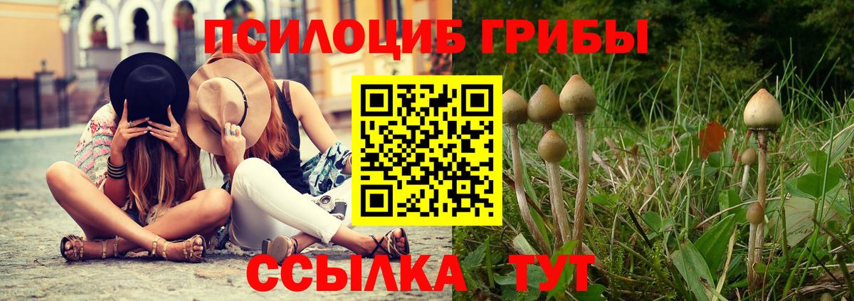 Галлюциногенные грибы GOLDEN TEACHER  Вход с VPN  Рославль 